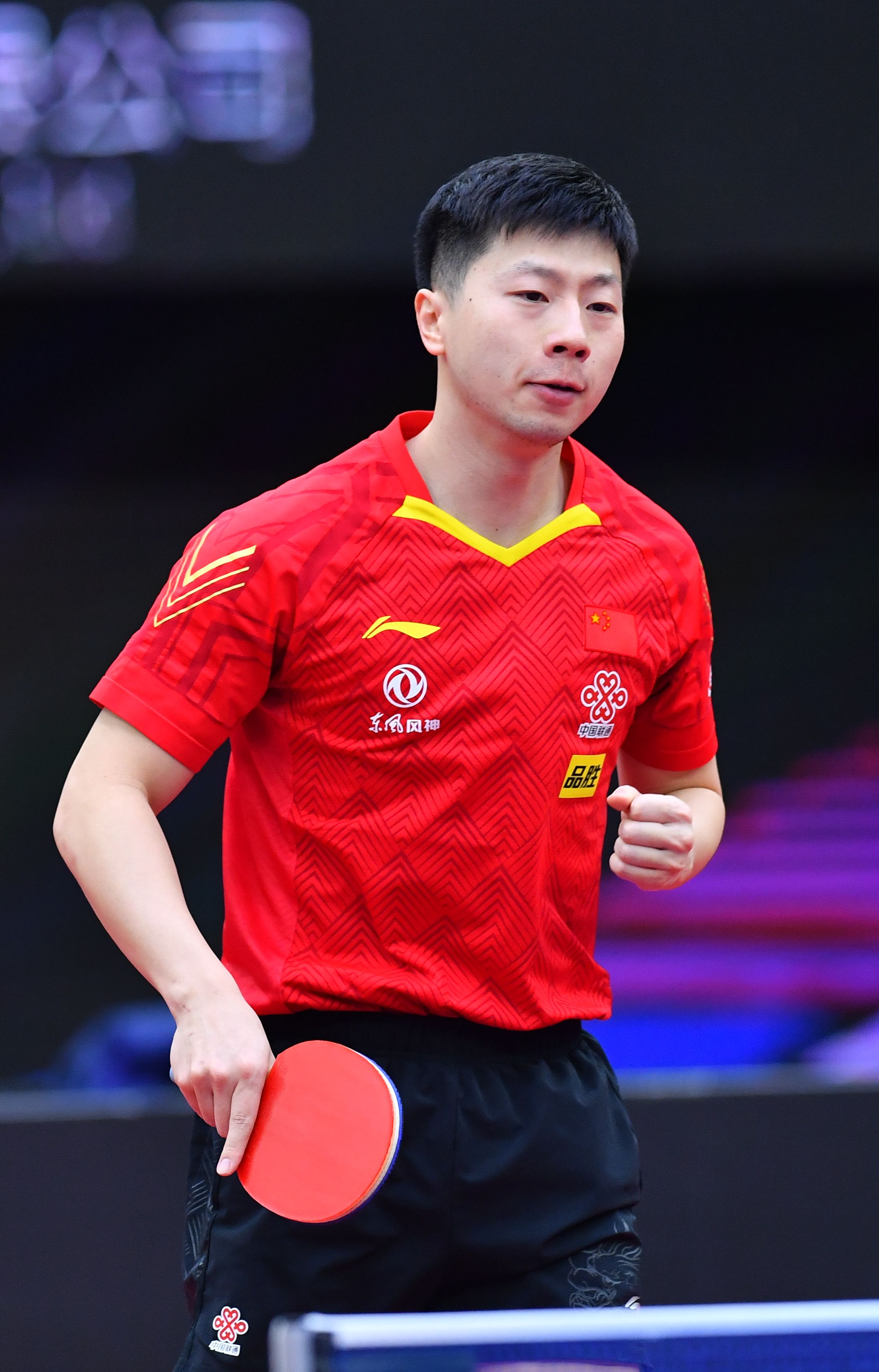 西蒙尼的马 西蒙尼的马