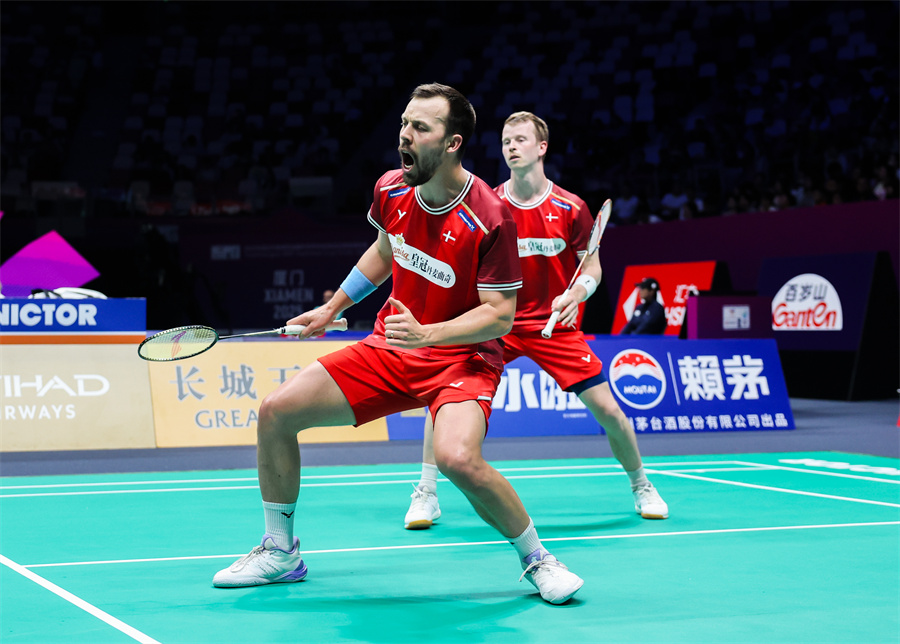 标赛的球场 标赛的球场