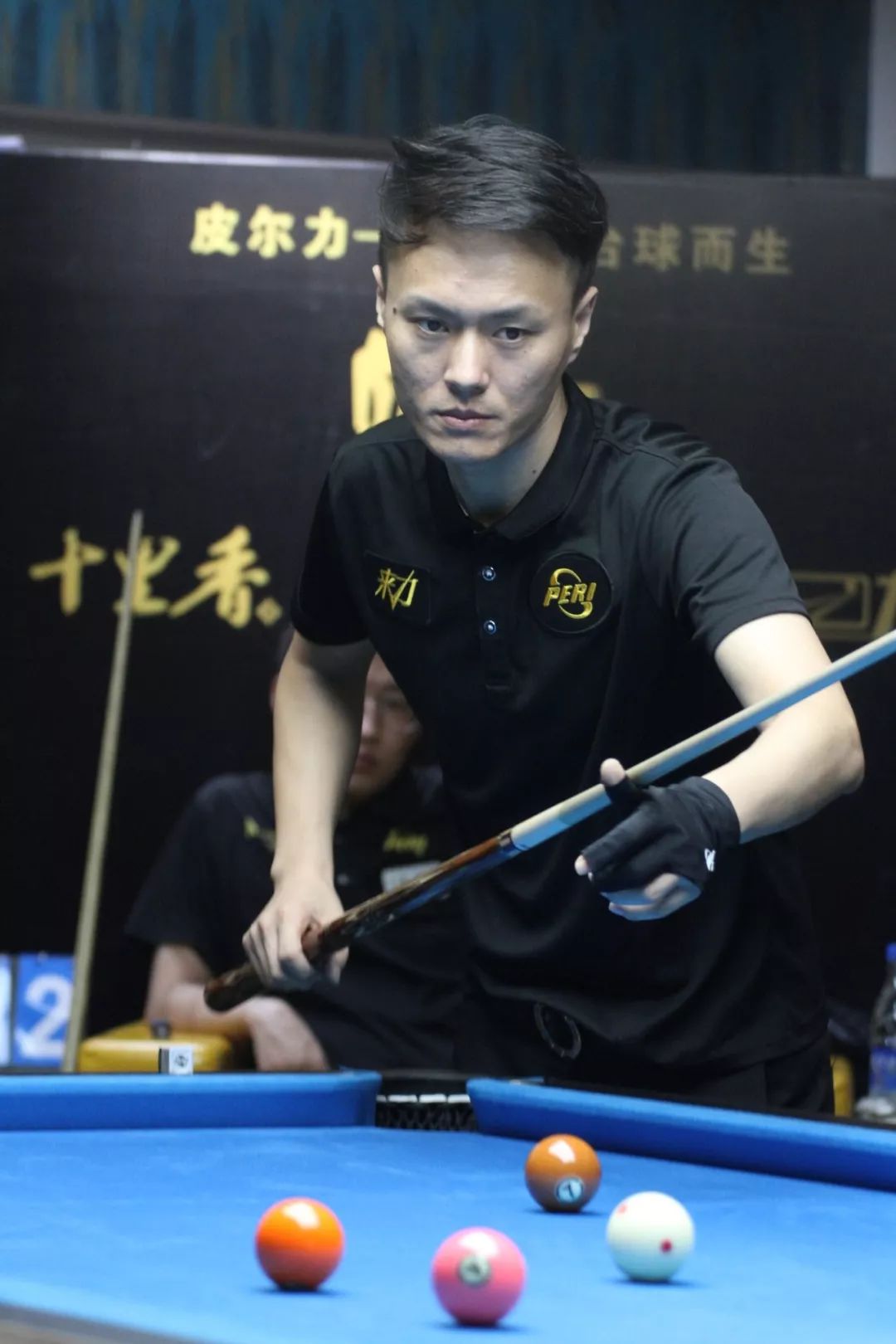 青岛海牛 青岛海牛